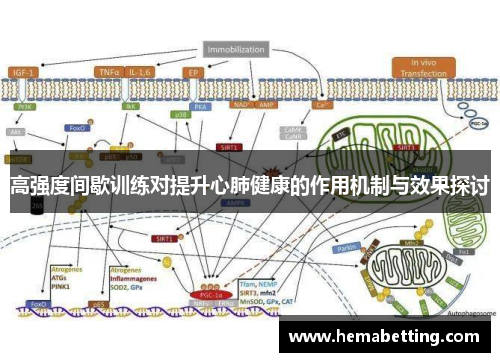 高强度间歇训练对提升心肺健康的作用机制与效果探讨